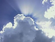 Is survival in the cloud?